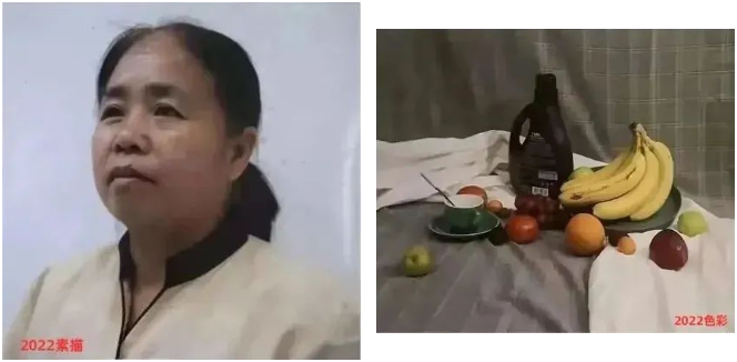 河南专升本美术类真题
